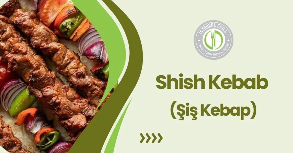 What is Turkish Kebab? A Complete Guide 1 shish kebab